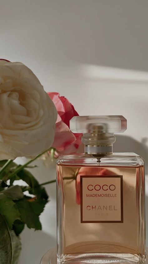 Hermès Twilly d’Hermès